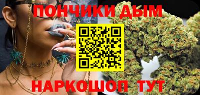 спиды Кингисепп
