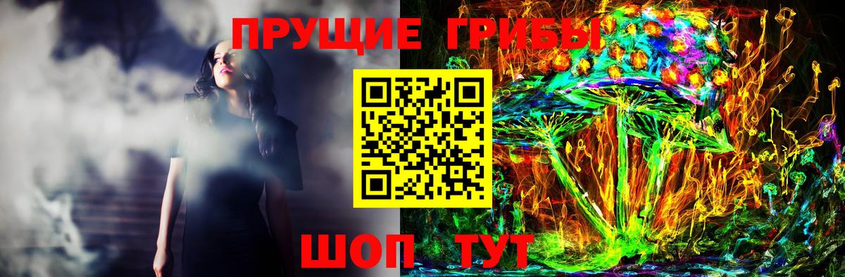 Корсаков  Галлюциногенные грибы прущие грибы  Вход с VPN 